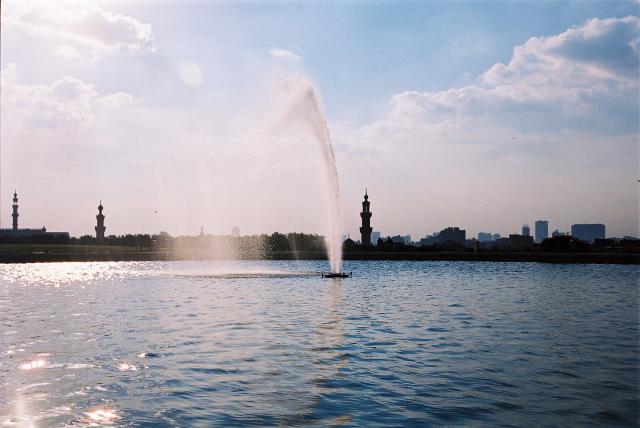 G4-17.3.jpg
